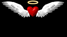 cuore ali aureola.gif